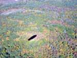 Blimp Pic 5